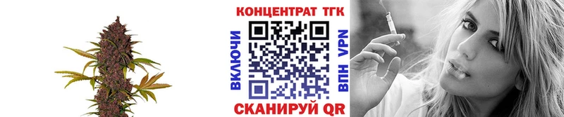 OMG рабочий сайт  Холм  Дистиллят ТГК жижа 
