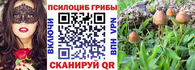 где можно купить наркотик  Холм  Галлюциногенные грибы Cubensis 